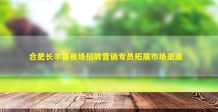 合肥长丰县夜场招聘营销专员拓展市场渠道